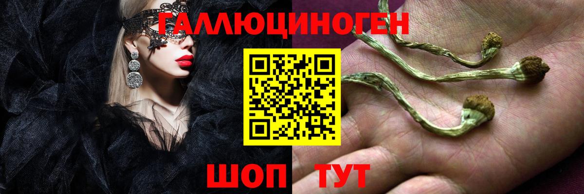 Топки  Псилоцибиновые грибы Cubensis  Вход с VPN 